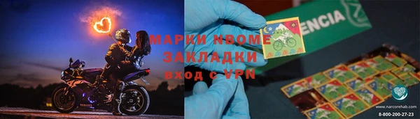 крисы Кулебаки