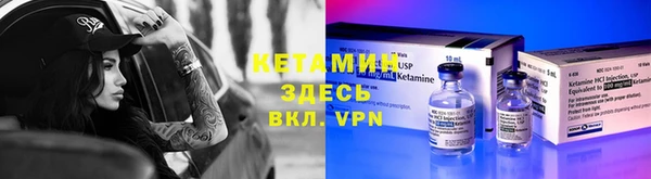 крисы Кулебаки