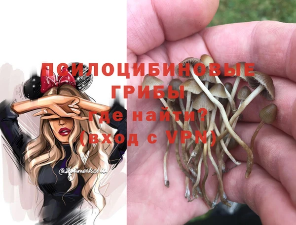 Альфа ПВП Кукмор