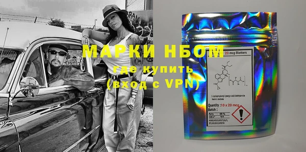 крисы Кулебаки