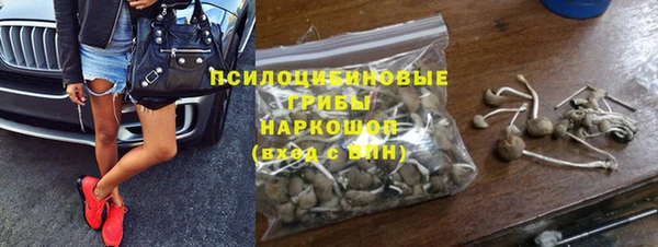 Альфа ПВП Кукмор