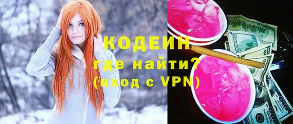 крисы Кулебаки