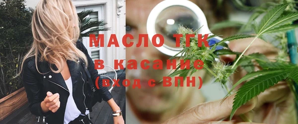 крисы Кулебаки