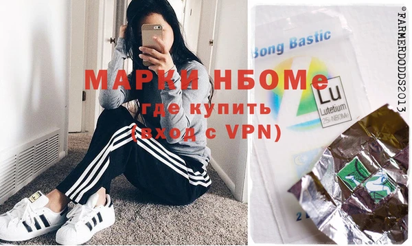 крисы Кулебаки